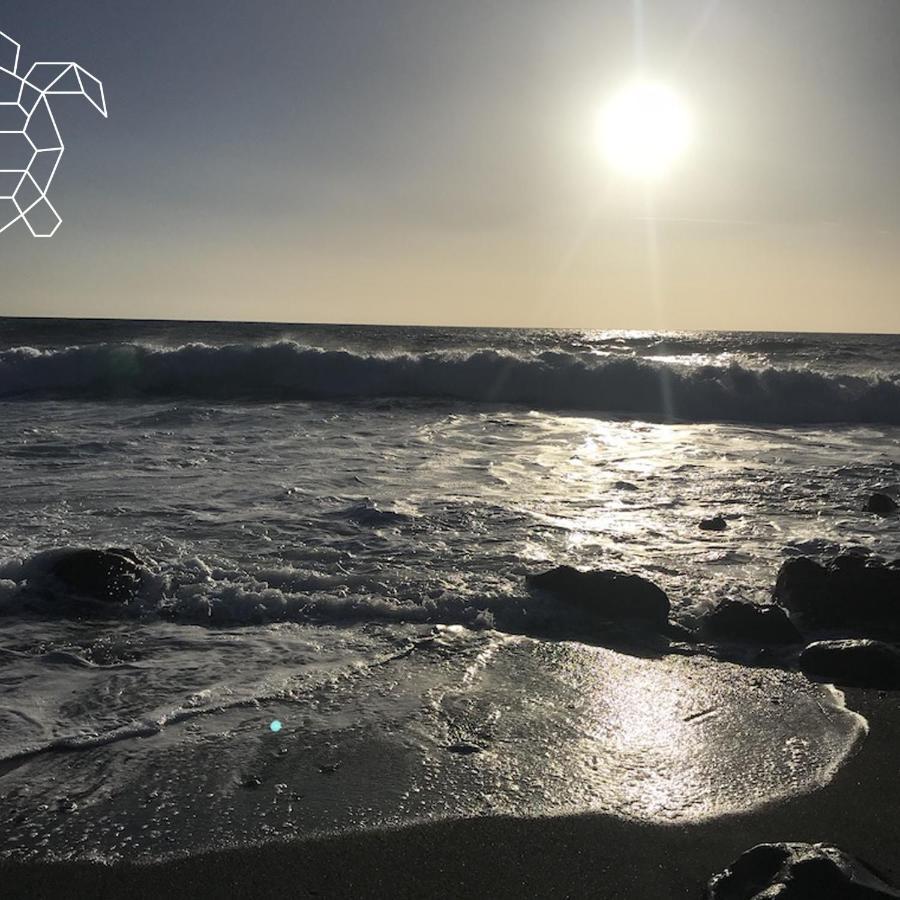 로스 야노스 데 아리다네 Caretta Caretta'S House 아파트 외부 사진